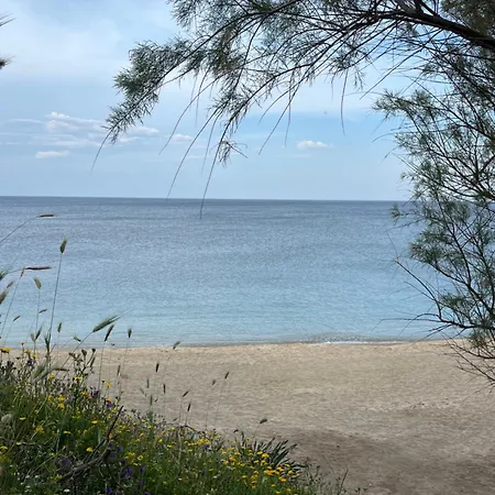 Lovely 1-bedroom In Front Of Sandy Semesterbostad