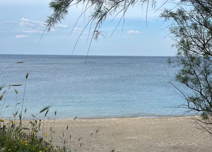 Lovely 1-bedroom In Front Of Sandy Vakantiehuis